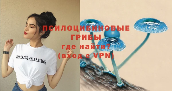 дмт Беломорск