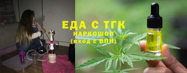 стаф Аркадак
