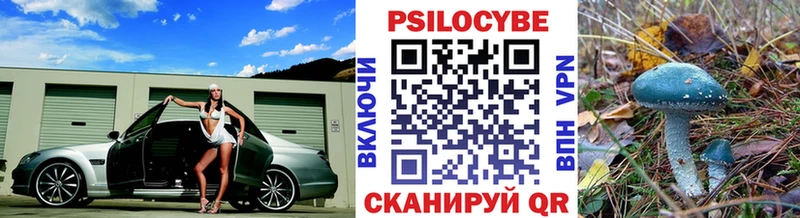Псилоцибиновые грибы мухоморы  закладка  Дигора 