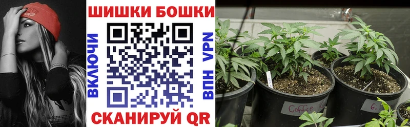 купить закладку  OMG вход  Шишки марихуана индика  Дигора 